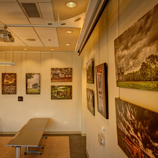 Photo Exhibition at the Collingwood Public Library
