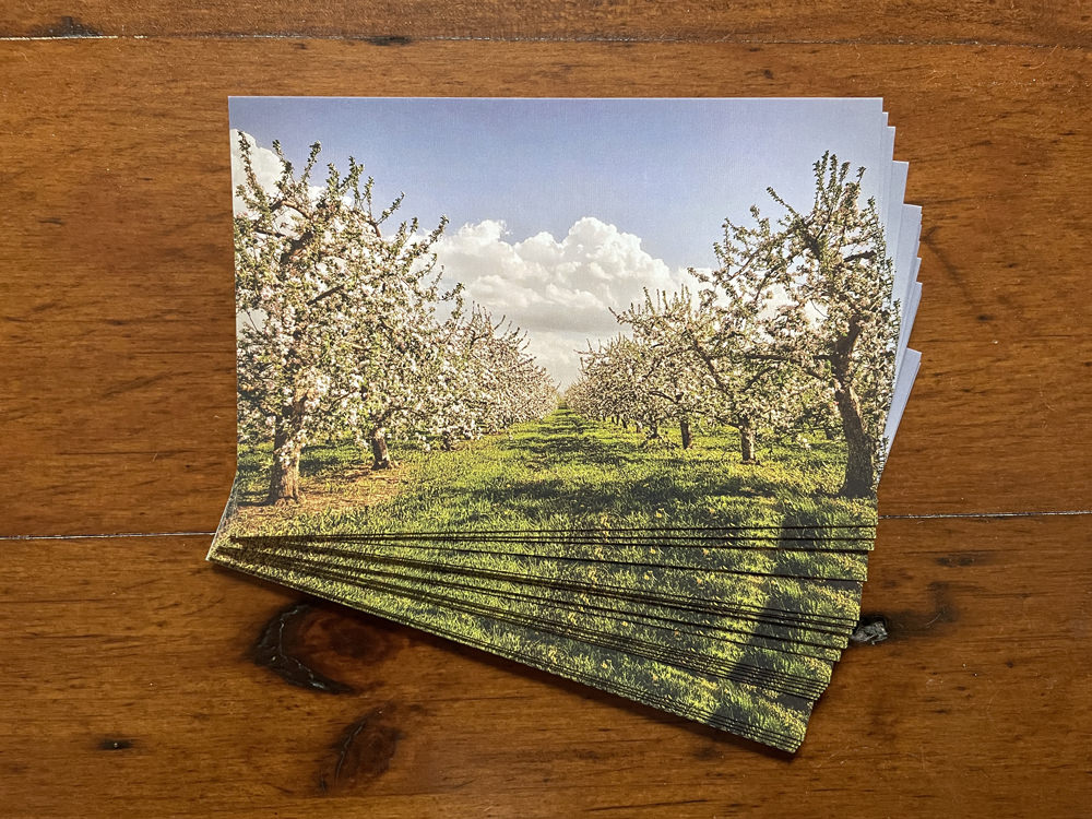 Postcards - Spring Orchard in Blue Mountains