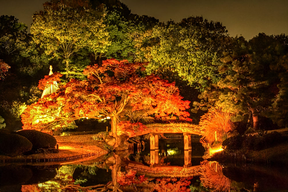 Rikugi-en Garden, Tokyo