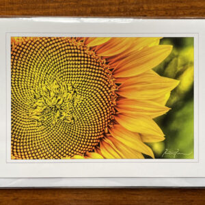 Greeting Card (Sunflower)