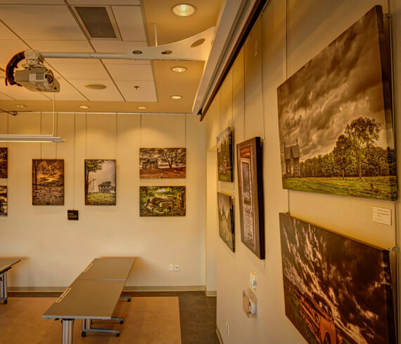 Photo Exhibition at the Collingwood Public Library