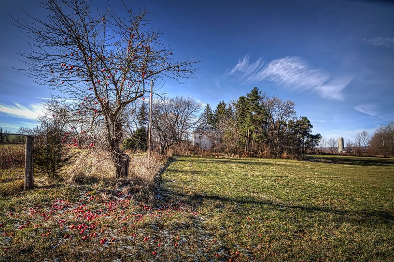Abandoned Abundance