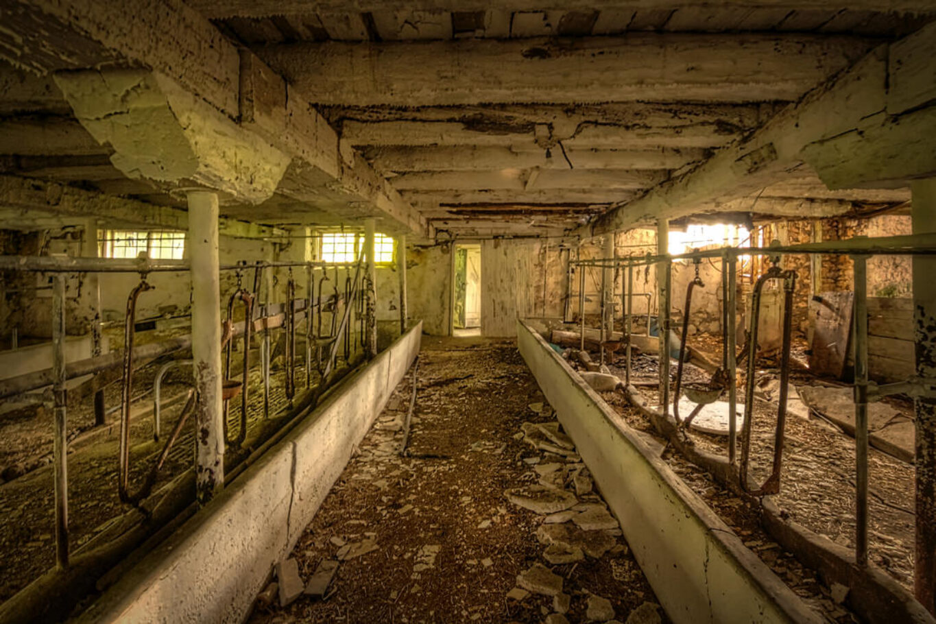 Equilibrium - abandoned farmhouse in Ontario, Canada