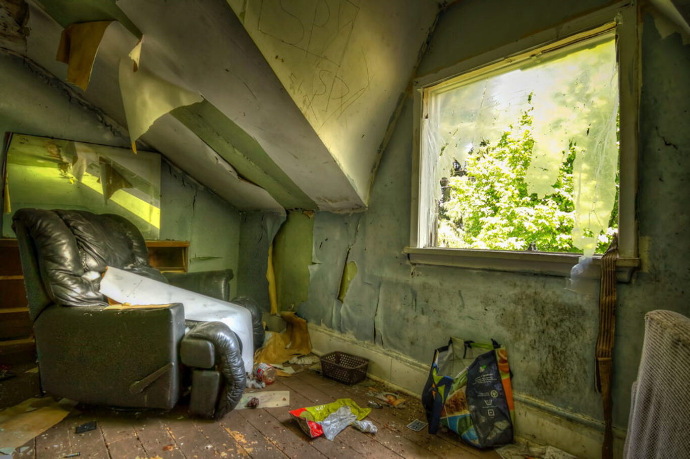 Sanctuary