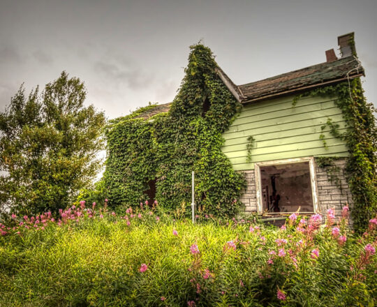 Summer Haze - Abandoned farmhouse in Ontario, Canada