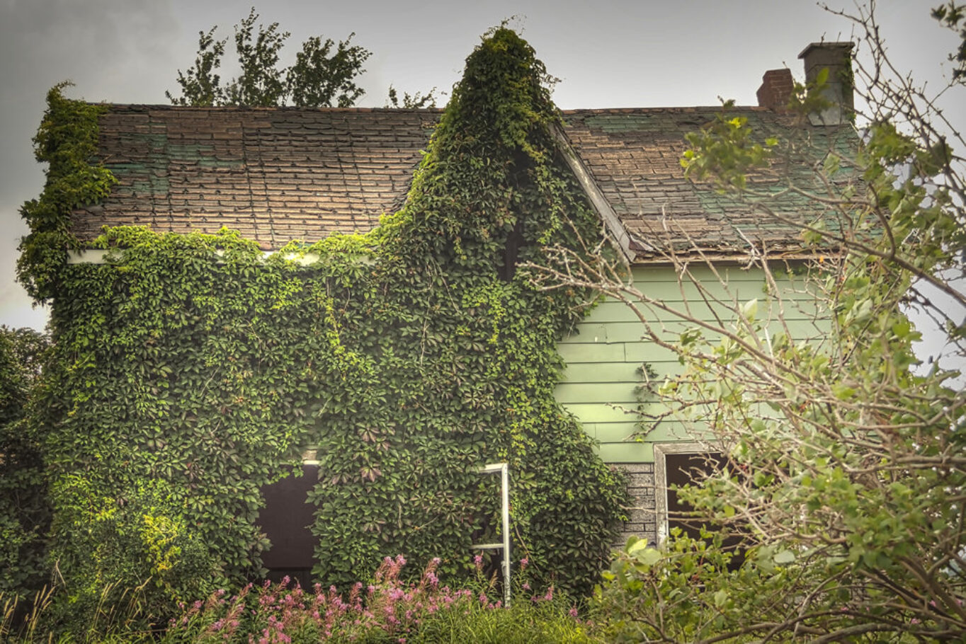 Summer Haze - Abandoned farmhouse in Ontario, Canada