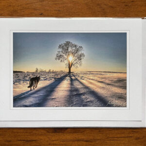 Greeting Card - Guiding Light