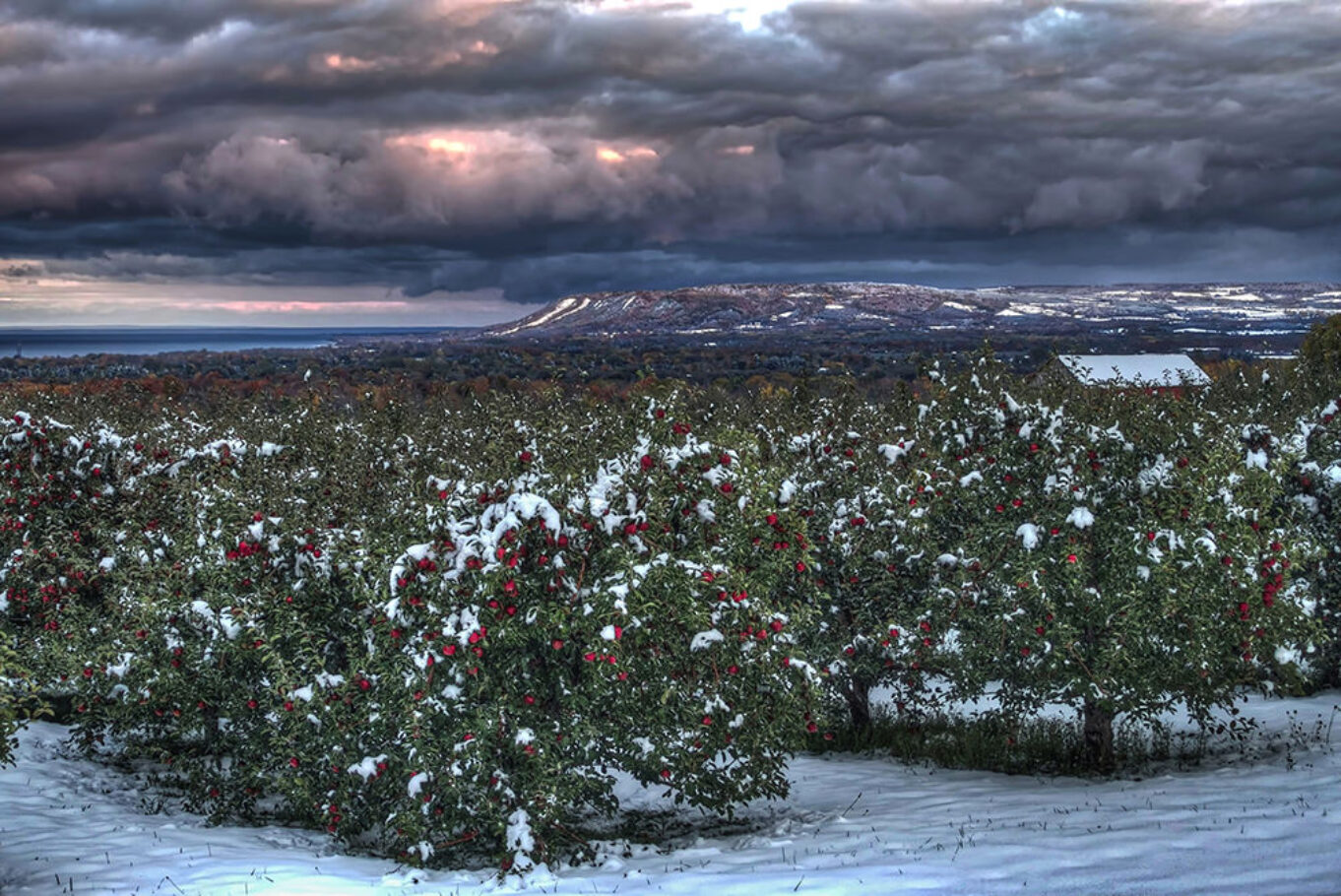 Seasons Crisscrossing