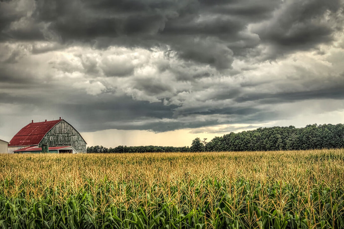 Before The Rain