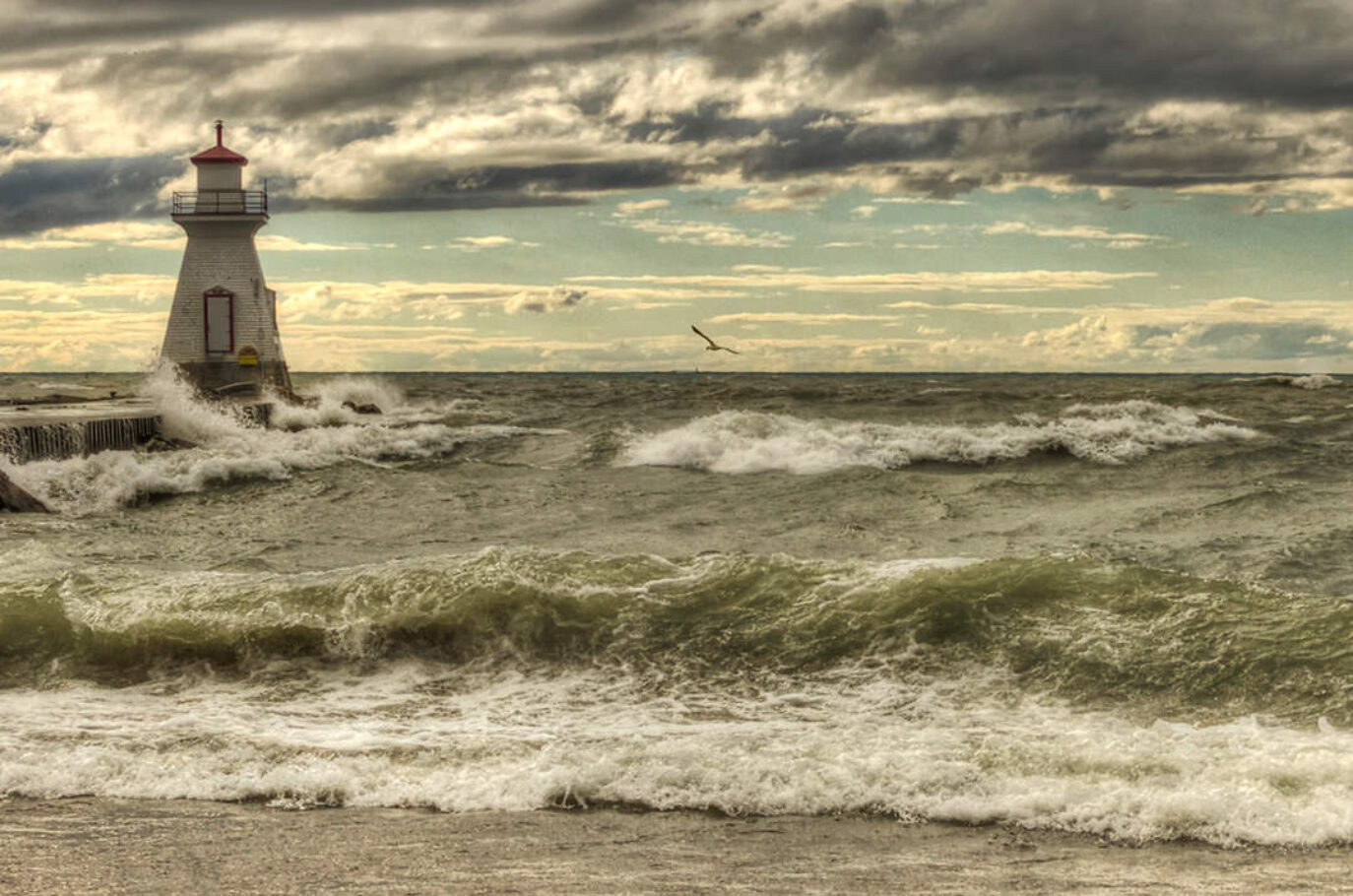 White Horses