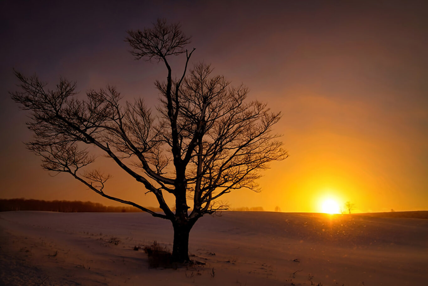 Winter Dusk