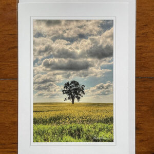Greeting Card - Canola Field Tree