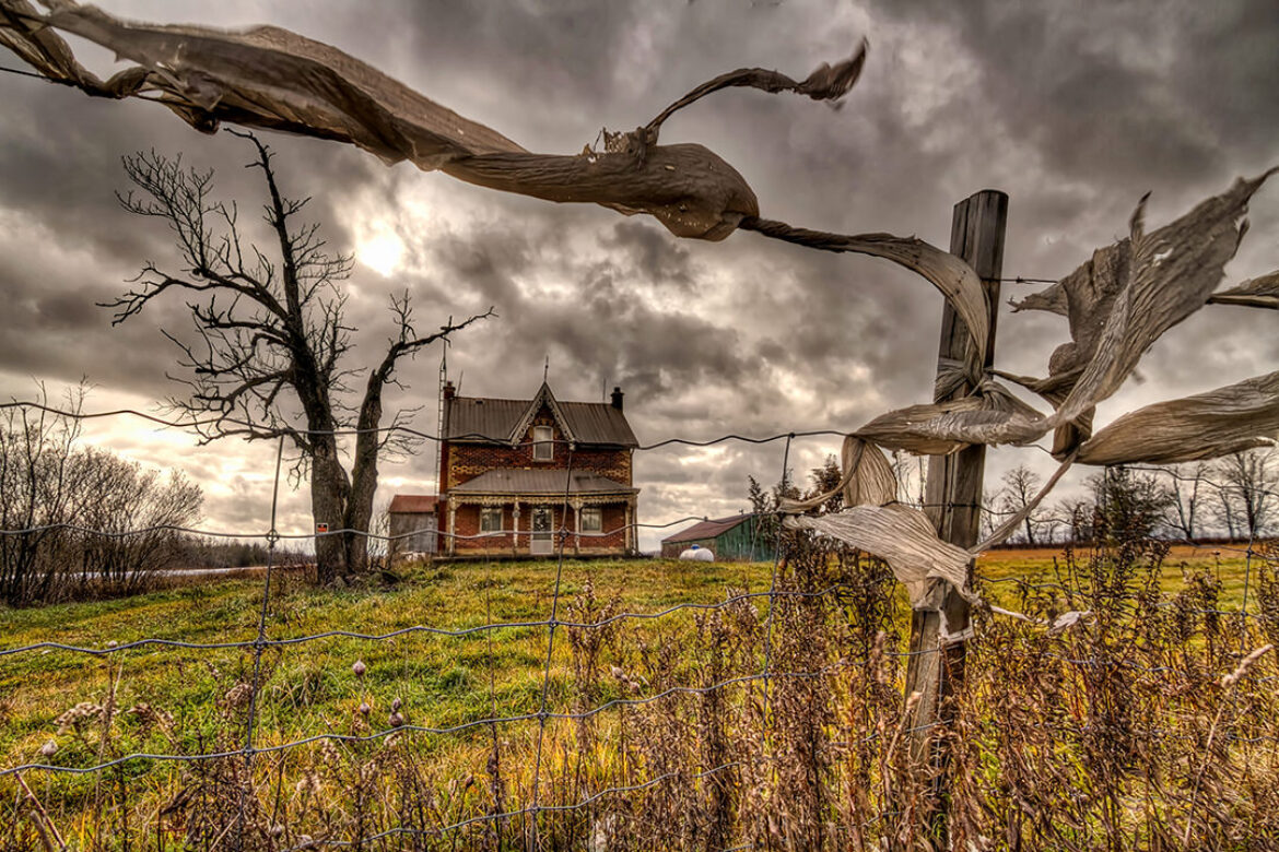 Wuthering Heights