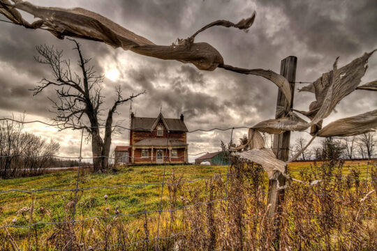 Wuthering Heights