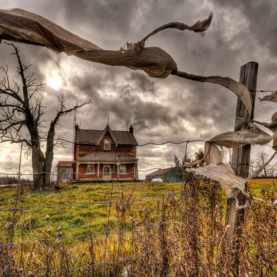 Wuthering Heights