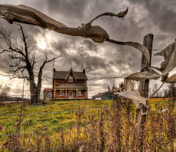 Wuthering Heights