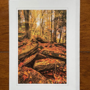 Greeting Card - Indian Falls