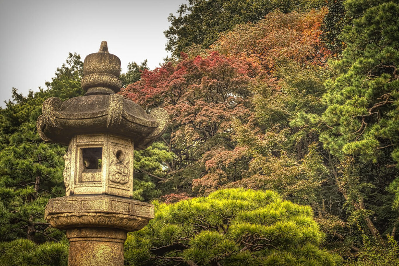 Rikugi-en Garden, Tokyo
