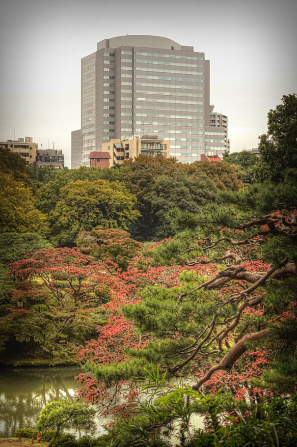 Rikugi-en Garden, Tokyo