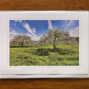 Greeting Card - Spring Orchard