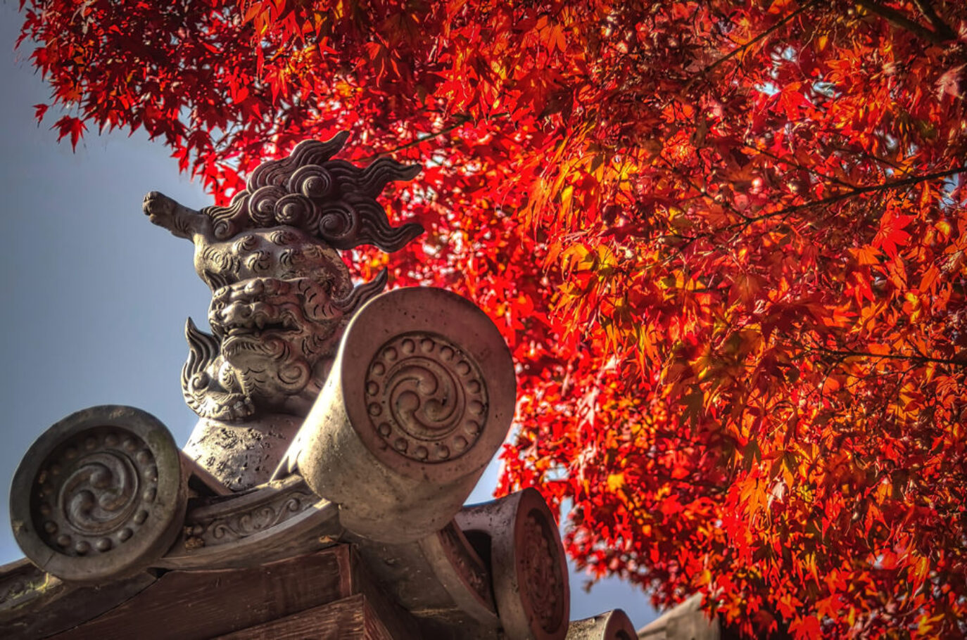 Tofukuji, Kyoto