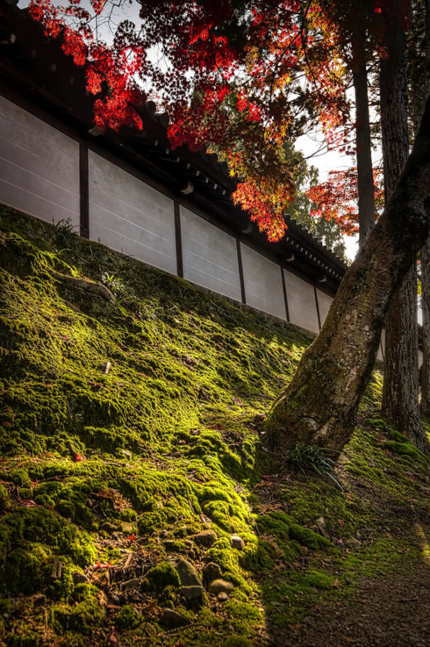 Tofukuji, Kyoto