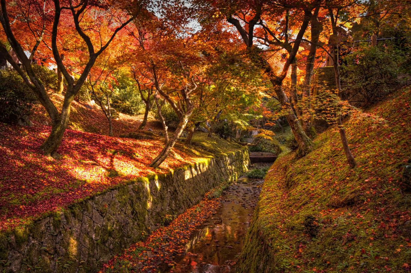 Tofukuji, Kyoto