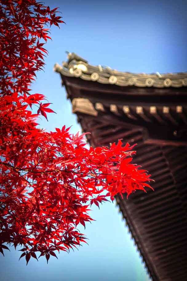 Tofukuji, Kyoto