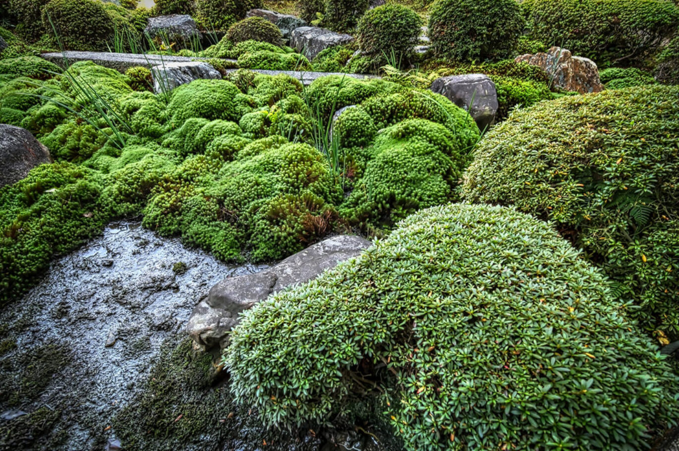 Tofukuji, Kyoto