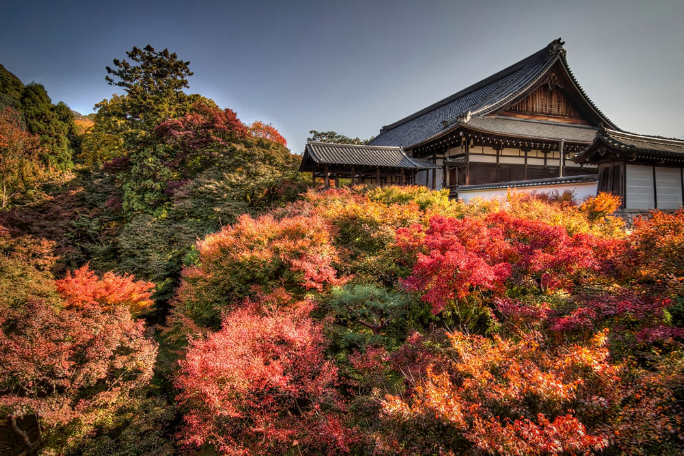 Tofukuji, Kyoto