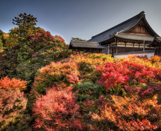 Tofukuji, Kyoto