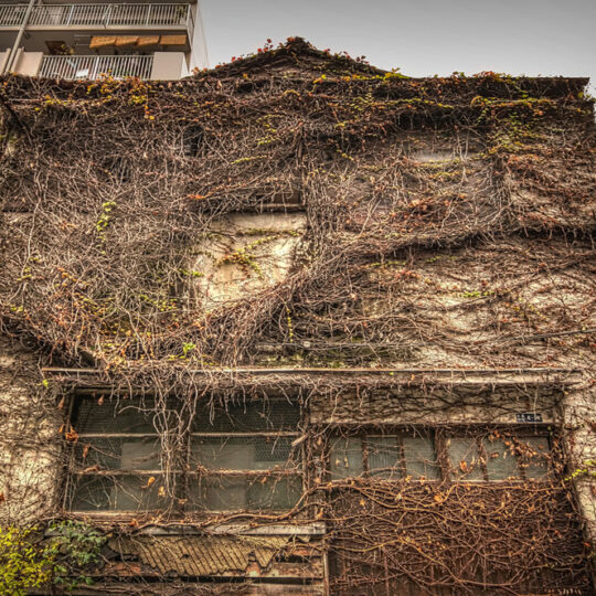 Domination - Abandoned house in Tokyo, Japan - Left Ahead Photography
