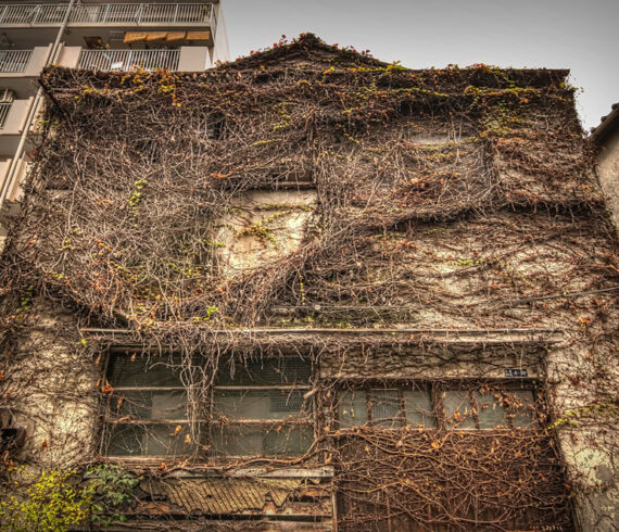 Domination - Abandoned house in Tokyo, Japan - Left Ahead Photography