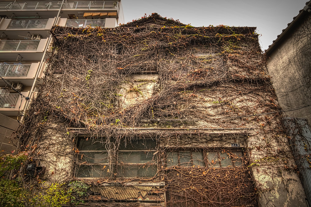 Domination - Abandoned house in Tokyo, Japan - Left Ahead Photography