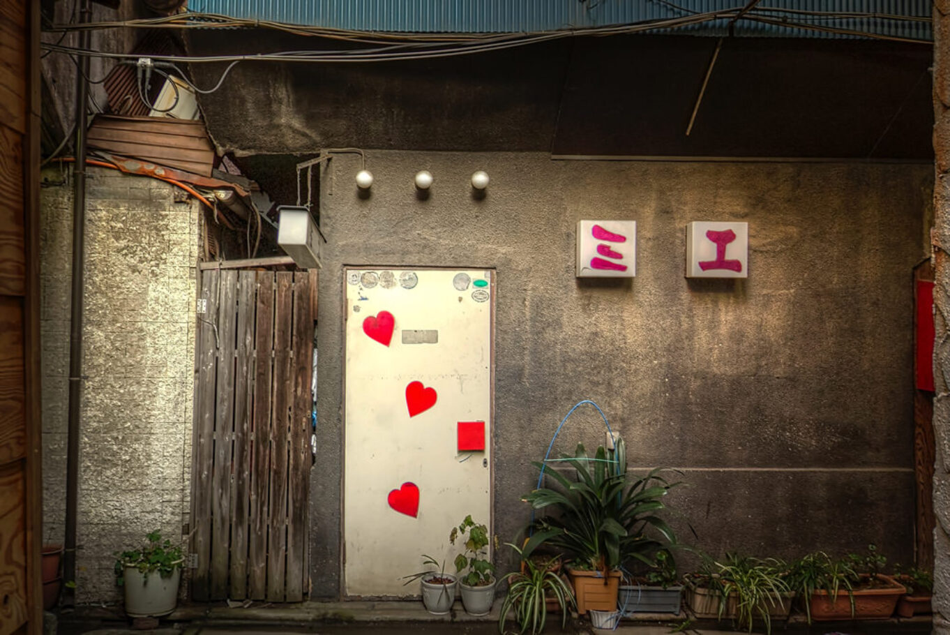 Tateishi Nonbe Yokocho, Tokyo