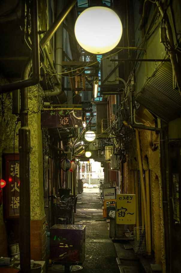 Tateishi Nonbe Yokocho, Tokyo