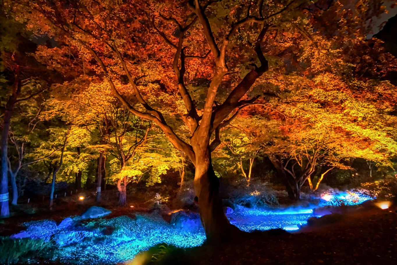 Rikugi-en Garden, Tokyo