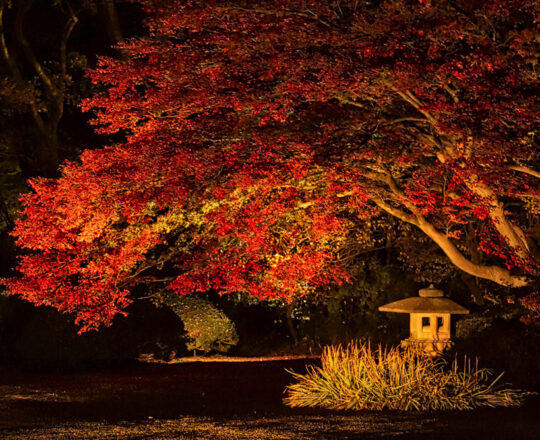Rikugi-en Garden, Tokyo