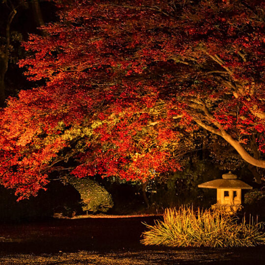 Rikugi-en Garden, Tokyo