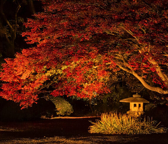 Rikugi-en Garden, Tokyo