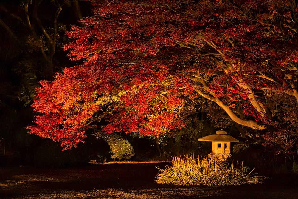 Rikugi-en Garden, Tokyo