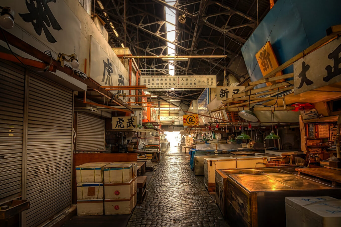 Tsukiji Fish Market, Tokyo