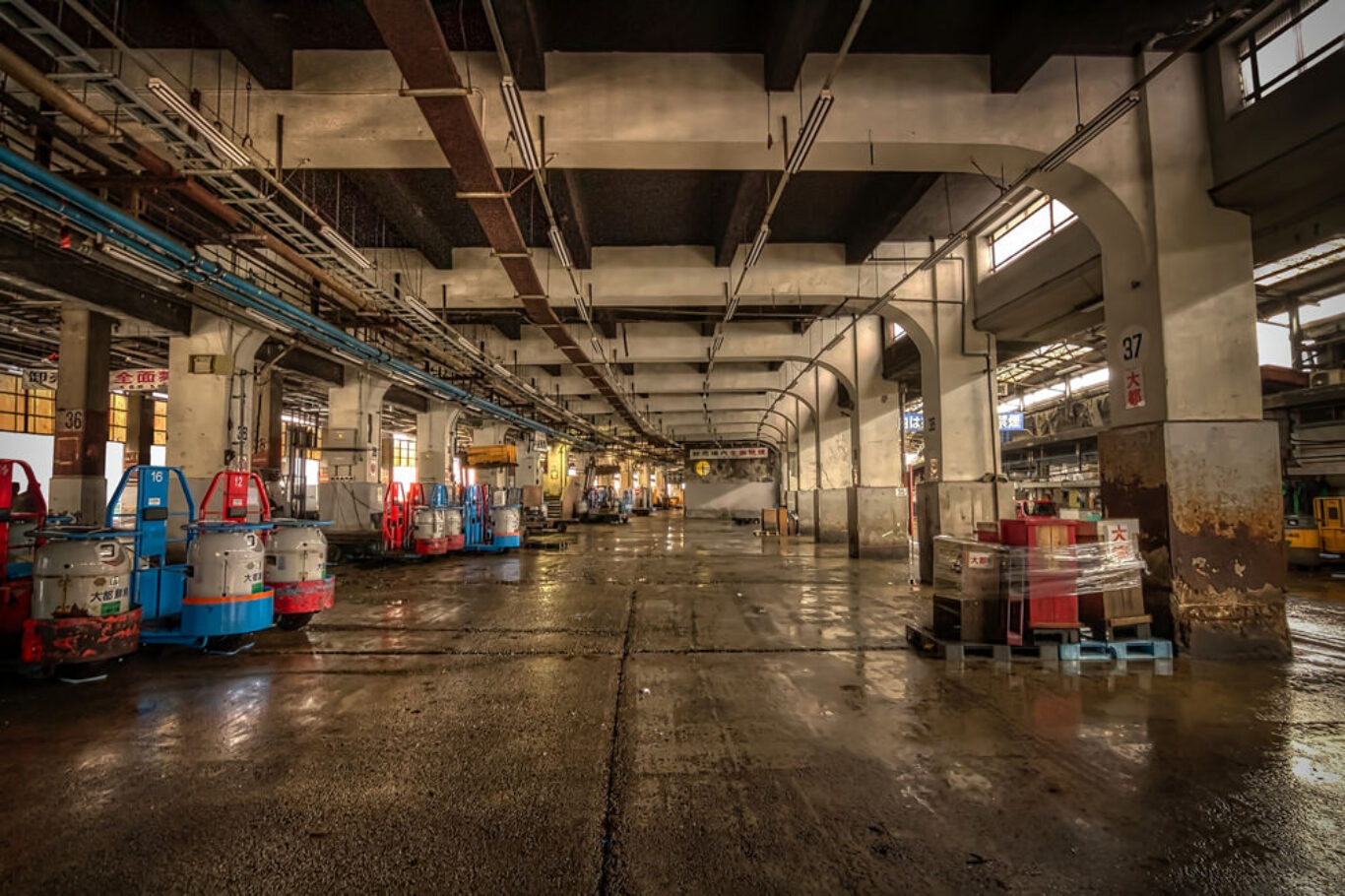 Tsukiji Fish Market, Tokyo