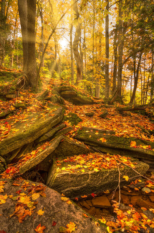 Indian Falls, Owen Sound