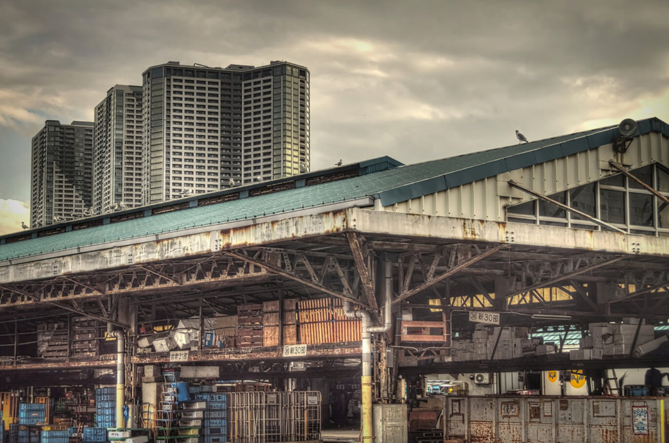 Tsukiji Fish Market, Tokyo