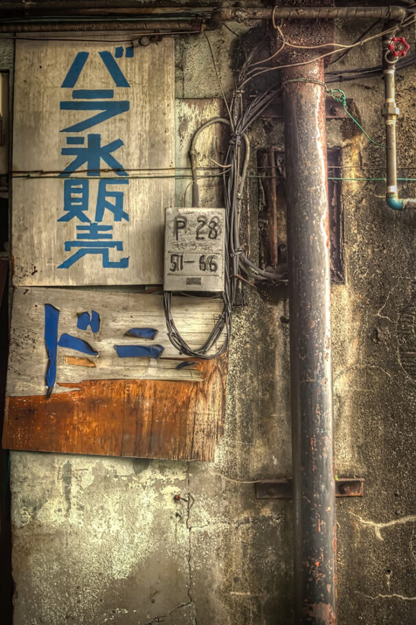 Tsukiji Fish Market, Tokyo