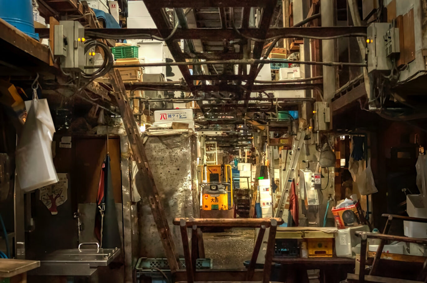 Tsukiji Fish Market, Tokyo