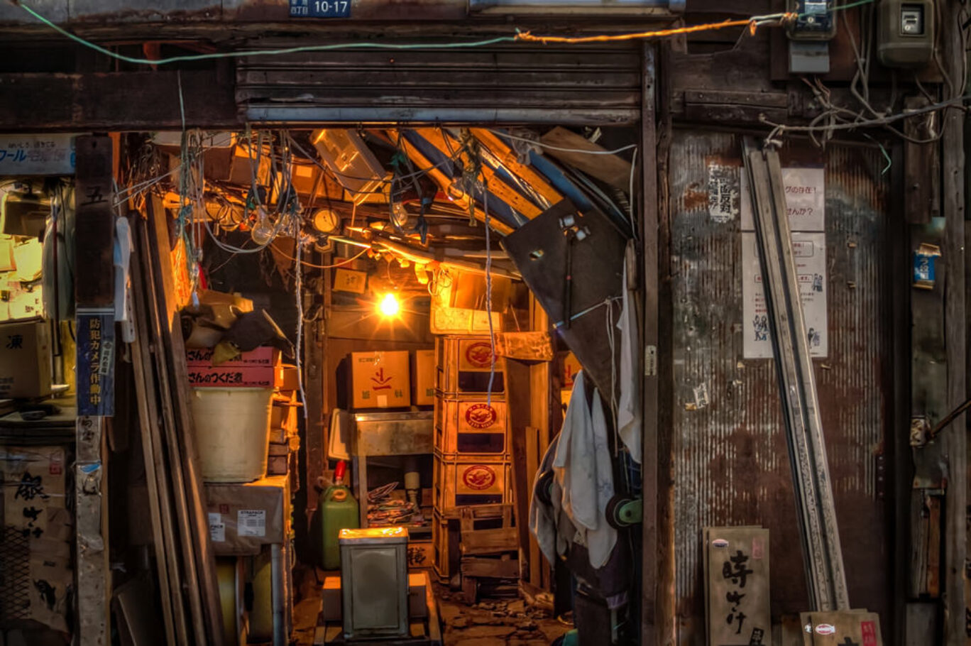 Tsukiji Fish Market, Tokyo