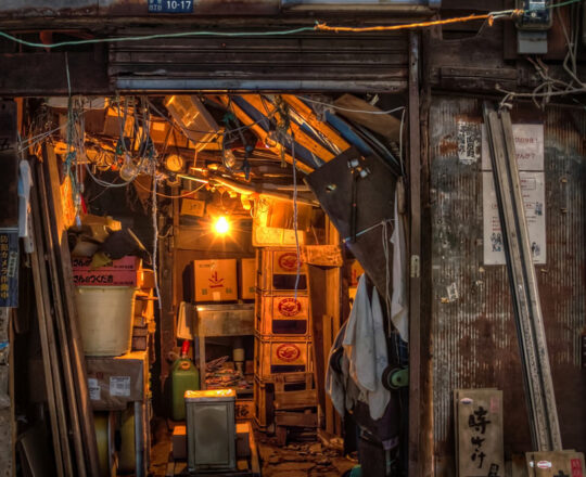 Tsukiji Fish Market, Tokyo