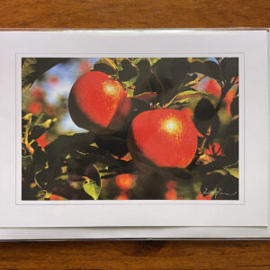 Greeting Card - Thornbury Apples